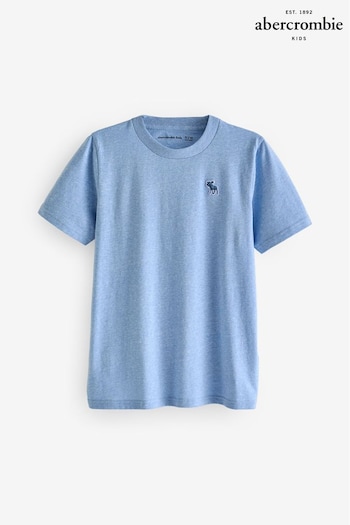 Abercrombie & Fitch Blue Textured Print Logo T-Shirt (K91670) | £13