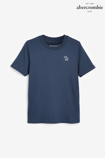 Abercrombie & Fitch Plain Small Logo T-Shirt (K91677) | £13