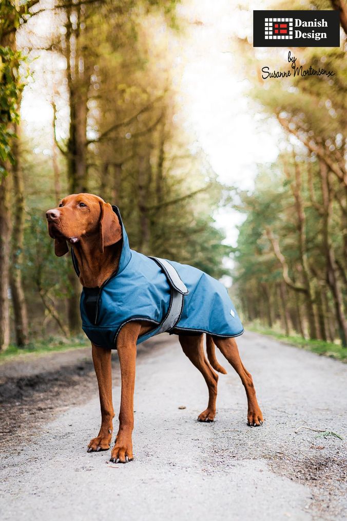 Buy Pet Coats Homeware Blue Online Next UK
