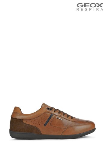 Geox Mens Ionio Brown Sneakers (M12698) | £115