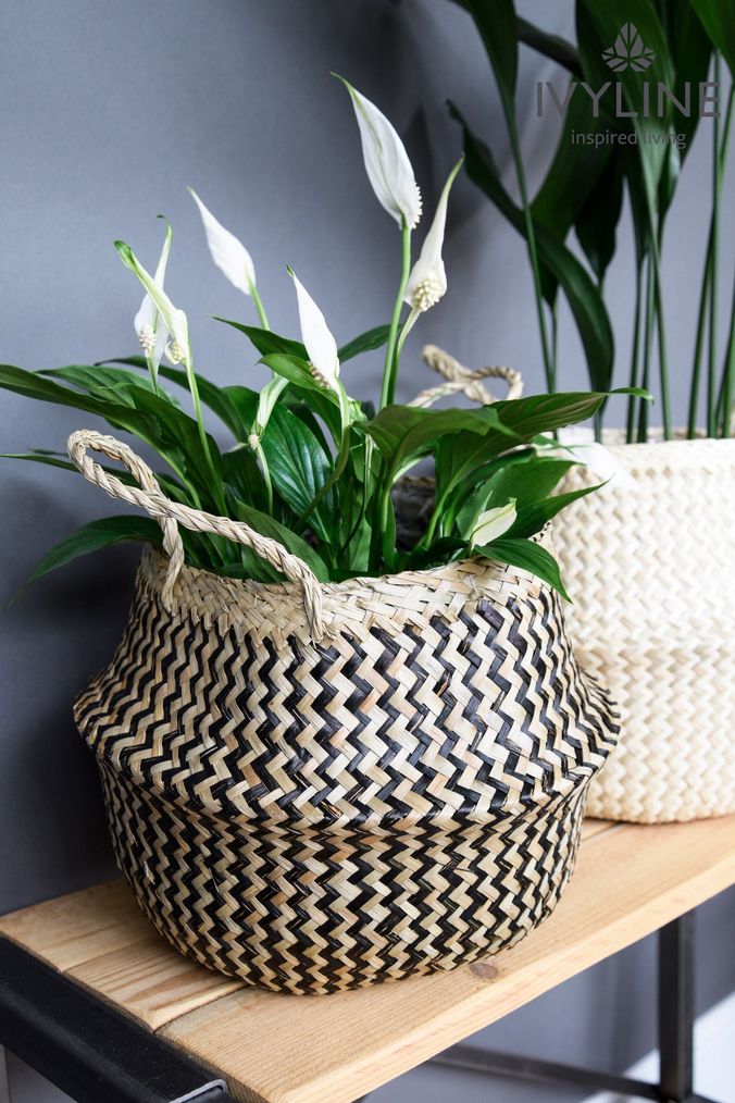 Ivyline Natural Small Seagrass Chevron Lined Basket (M22330) | £25