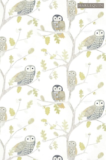 Harlequin Green Little Owls Wallpaper Children's Wallpaper (M27826) | £39