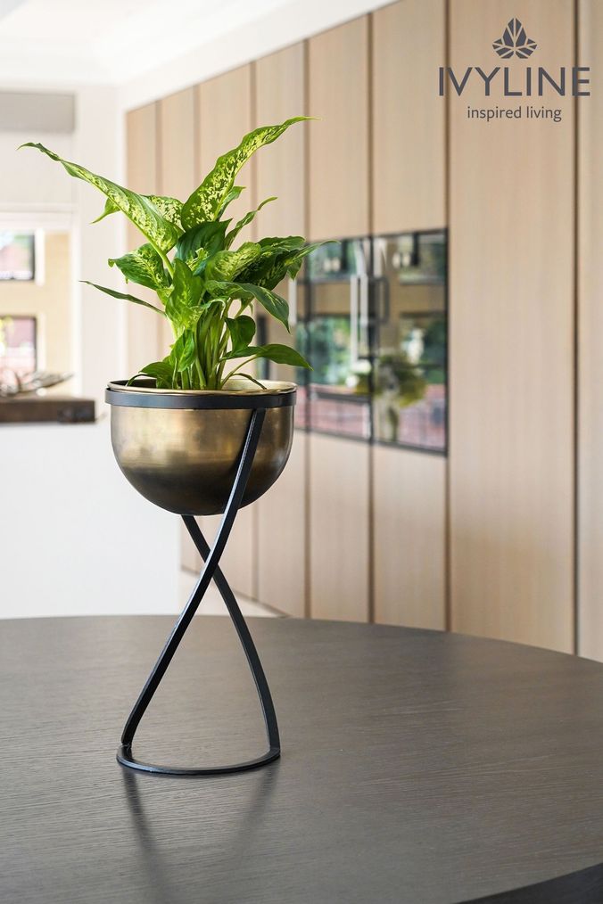 Next plant shop pots