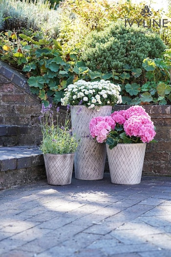 Ivyline Natural Outdoor Chatsworth Vase Planter (M31080) | £50
