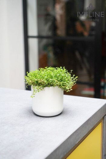 Ivyline White Garden Lisbon Plant Pot (M31090) | £30