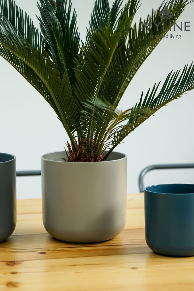 Grey Plant Pots Grey Indoor Outdoor Plant Pots Next UK