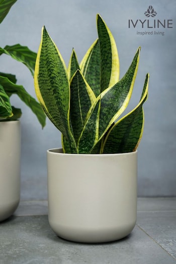 Ivyline Grey Lisbon Planter (M31099) | £36