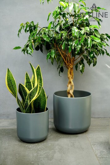 Ivyline Grey Garden Lisbon Planter (M31100) | £30