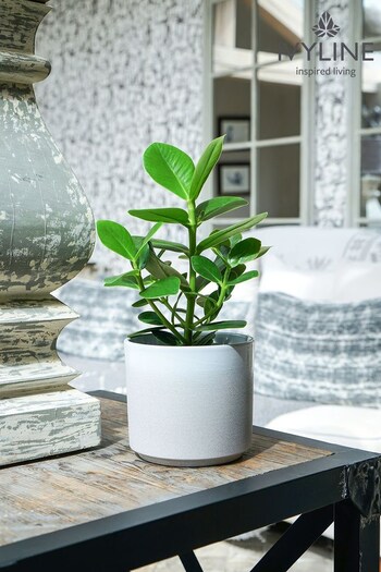 Ivyline White Garden Small Leon Planter (M31123) | £35