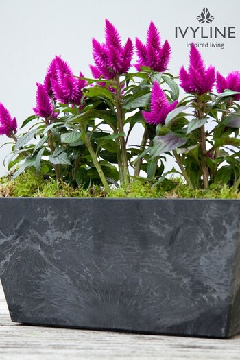 Ivyline Black Garden Small Ella Balcony Planter (M31151) | £30