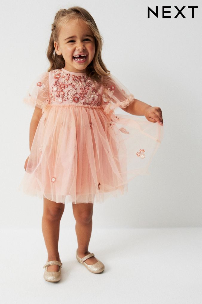Pale Pink Embroidered Mesh Party Dress (3mths-7yrs) (M36384) | £20 - £24