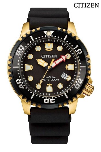 Citizen Gents Promaster Diver Watch (M54177) | £289
