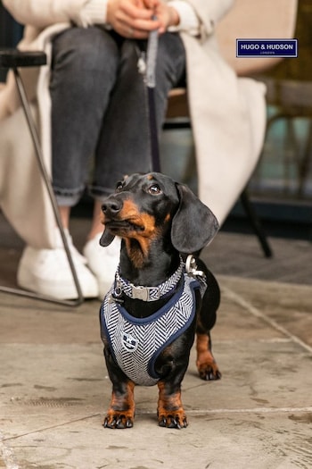 Blue Hugo & Hudson Blue Herringbone Dog Collar (M65663) | £25