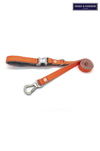 Orange Hugo & Hudson Orange Orange Geometric Dog Lead (M65703) | £20