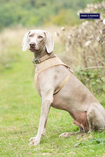 Brown Hugo & Hudson Brown Checked Herringbone Dog Collar (M65717) | £25