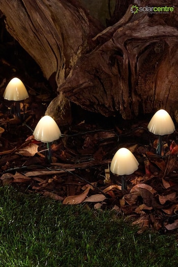 SolarCentre Set of 12 Clear Forest Solar Mushroom Lights (M67517) | £20