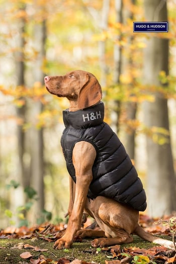 Black Hugo & Hudson Reversible Padded Dog Coat (M74331) | £40