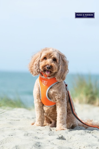 Hugo & Hudson Orange Hugo & Hudson Orange Mesh Dog Harness (M80511) | £25
