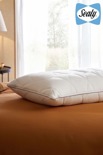Sealy Dual Comfort Memory Foam Pillow (M80814) | £45
