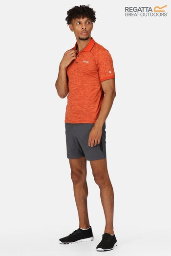Regatta Orange Remex II T-Shirt (M82884) | £21