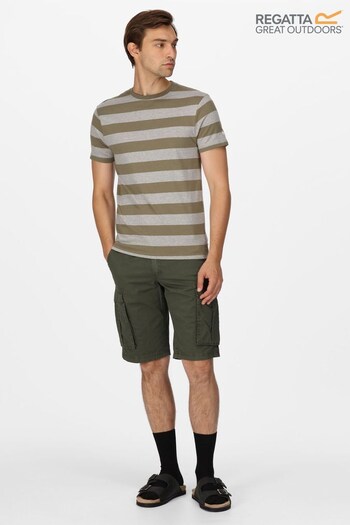 Regatta Green Ryeden Striped T-Shirt (M84543) | £22