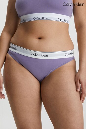 Calvin Klein Purple Modern Cotton Bikini Briefs (M88991) | £23