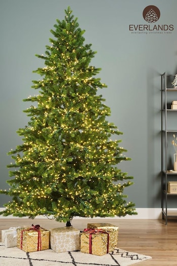 Everlands Green Pre-Lit LED 7ft Galloway Spruce Christmas Tree (MT9561) | £360