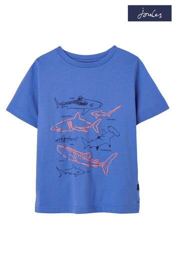 Joules Blue Ben Short Sleeve Screenprint T-Shirt (N01075) | £14.95 - £18.95