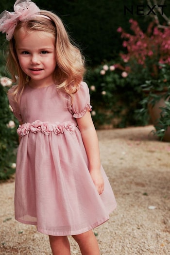 Rose Pink Corsage Occasion Dress (3mths-8yrs) (N02854) | £22 - £28