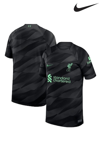Nike Grey Liverpool Goalkeeper Stadium Shirt 2023-24 (N04143) | £55