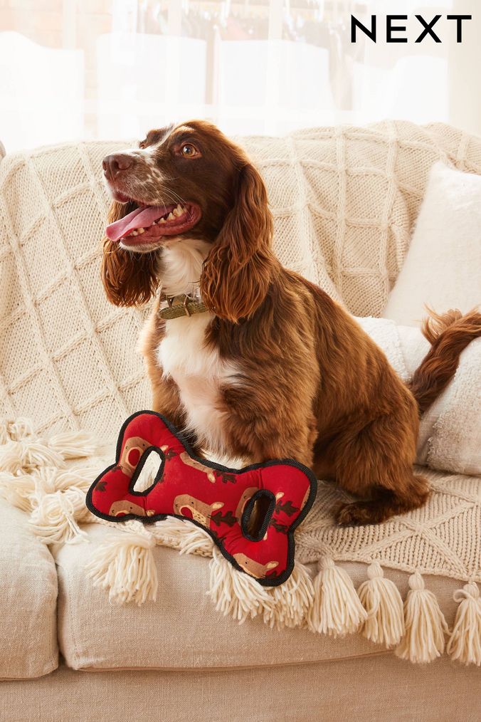 Buy Pet Toys Red Pets Online Next UK