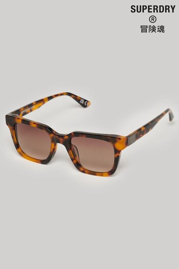 Superdry Brown SDR Garritsen Sunglasses (N06541) | £55