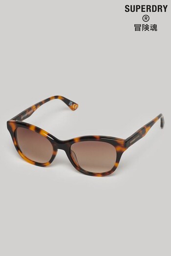 SUPERDRY Brown SDR Britanny Sunglasses (N06544) | £50