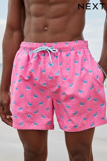 Bright Pink Mini Flamingo Regular Fit Printed Swim Violet Shorts (N06977) | £18