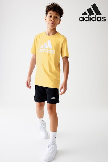 adidas Orange Sportswear Essentials Big Logo Cotton T-Shirt (N07838) | £13