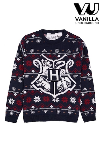 Vanilla Underground Blue Harry Potter Kids Christmas Jumper (N13502) | £30