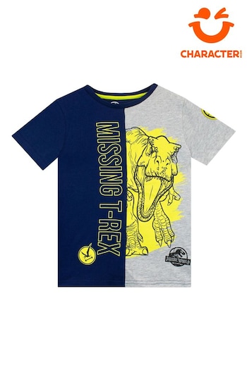 Character Grey Jurassic World T-Shirt (N14034) | £13