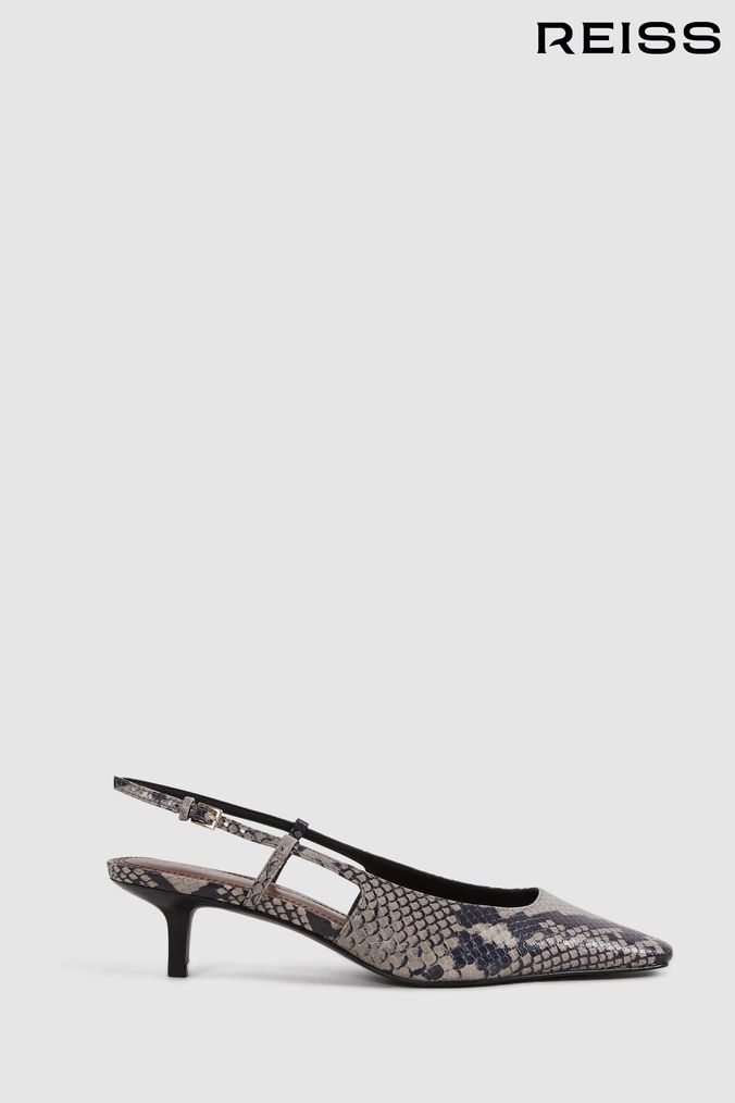 Buy Women s Low Animal Print Shoes Online Next UK