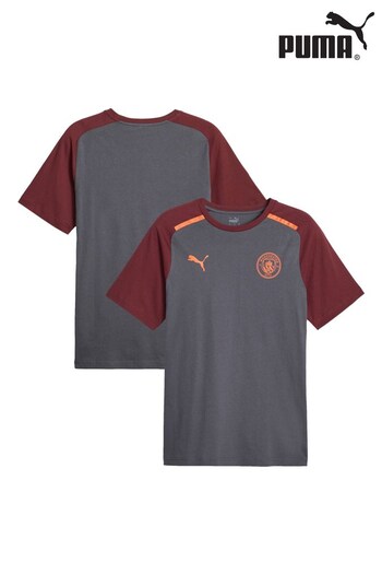 Puma Grey Manchester City Casuals T-Shirt (N16032) | £35