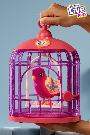 Little Live Pets Lil' Bird & Cage -Tiara Twinkles Toy (N16629) | £22