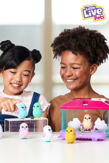 Little Live Pets Chick Playset Playset (N16638) | £25