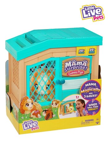 Little Live Pets Mama Surprise Toy Playset (N16662) | £65