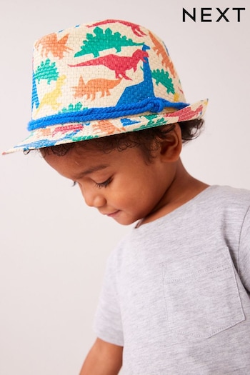 Rainbow Dinosaur Trilby Hat (1-16yrs) (N18387) | £9 - £11
