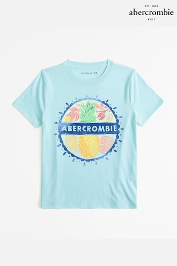 Abercrombie & Fitch Blue Fruit Graphic Print Logo Oversized T-Shirt (N20720) | £19