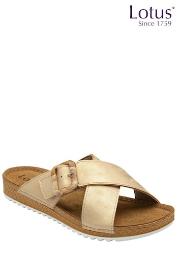 Lotus Gold/Brown Flat Mule Sandals (N23088) | £45