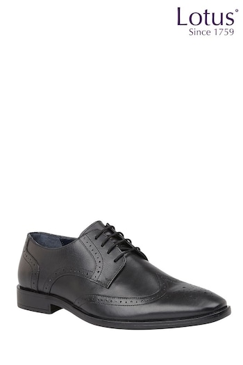 Lotus Charcole Black Leather Lace-Up Brogues (N23384) | £50