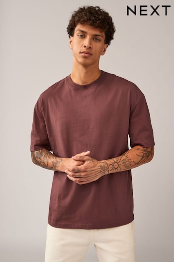 Brown Relaxed Fit Essential Regular Crew Neck 100% Cotton T-Shirt (N24911) | £8