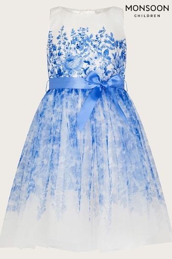 Monsoon Blue Gabriella Floral Dress (N27458) | £58 - £68