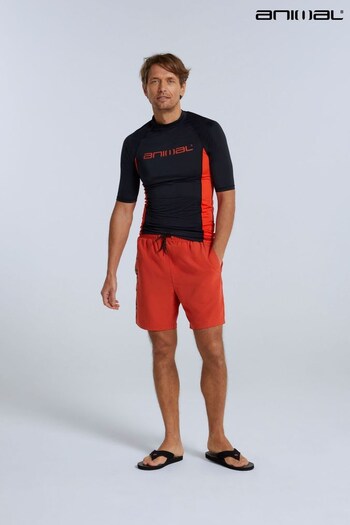 Animal Red Deep Dive Mens Recycled Boardshorts (N31897) | £30