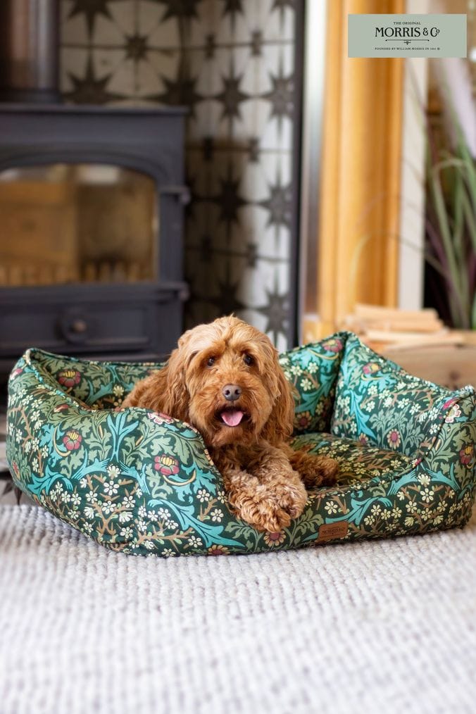 Slumber nest sale dog bed